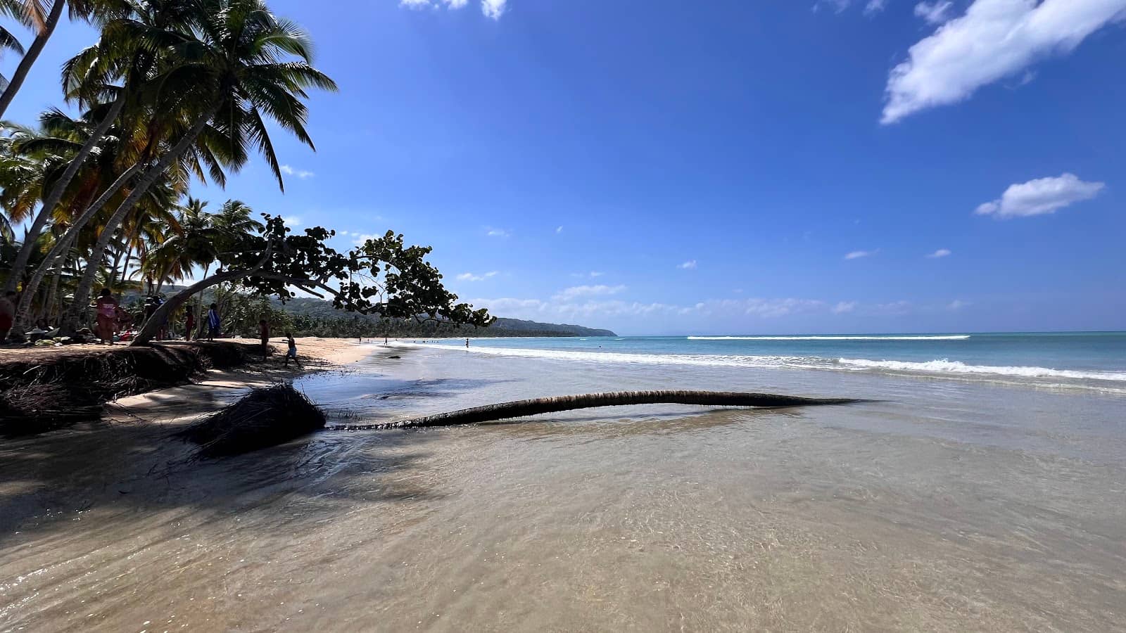 Refreshing River Swim