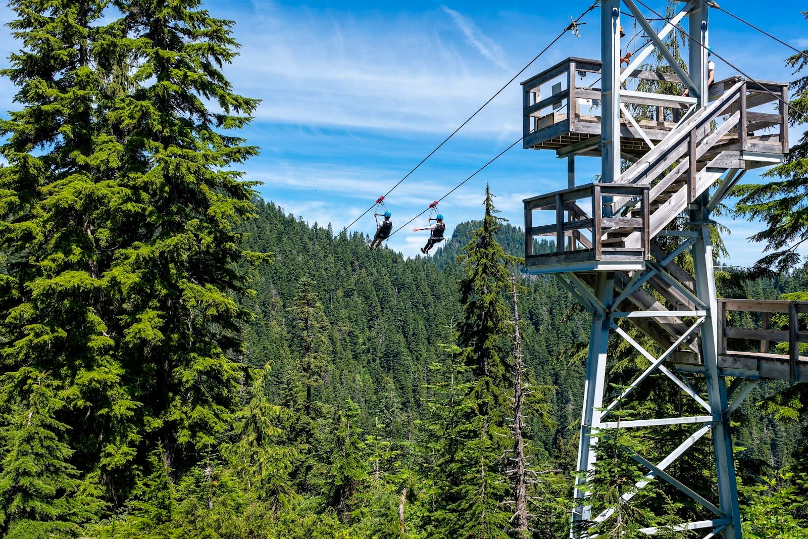 Grouse Mountain Skyride - Image 1