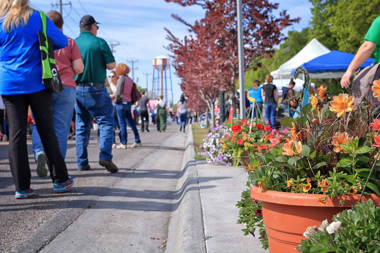 Idaho Falls Farmers' Market