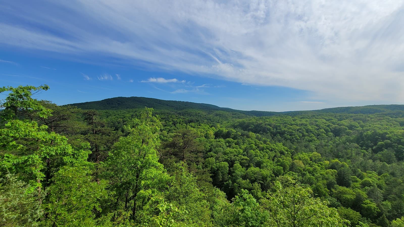 Green Ridge State Forest - Image 1