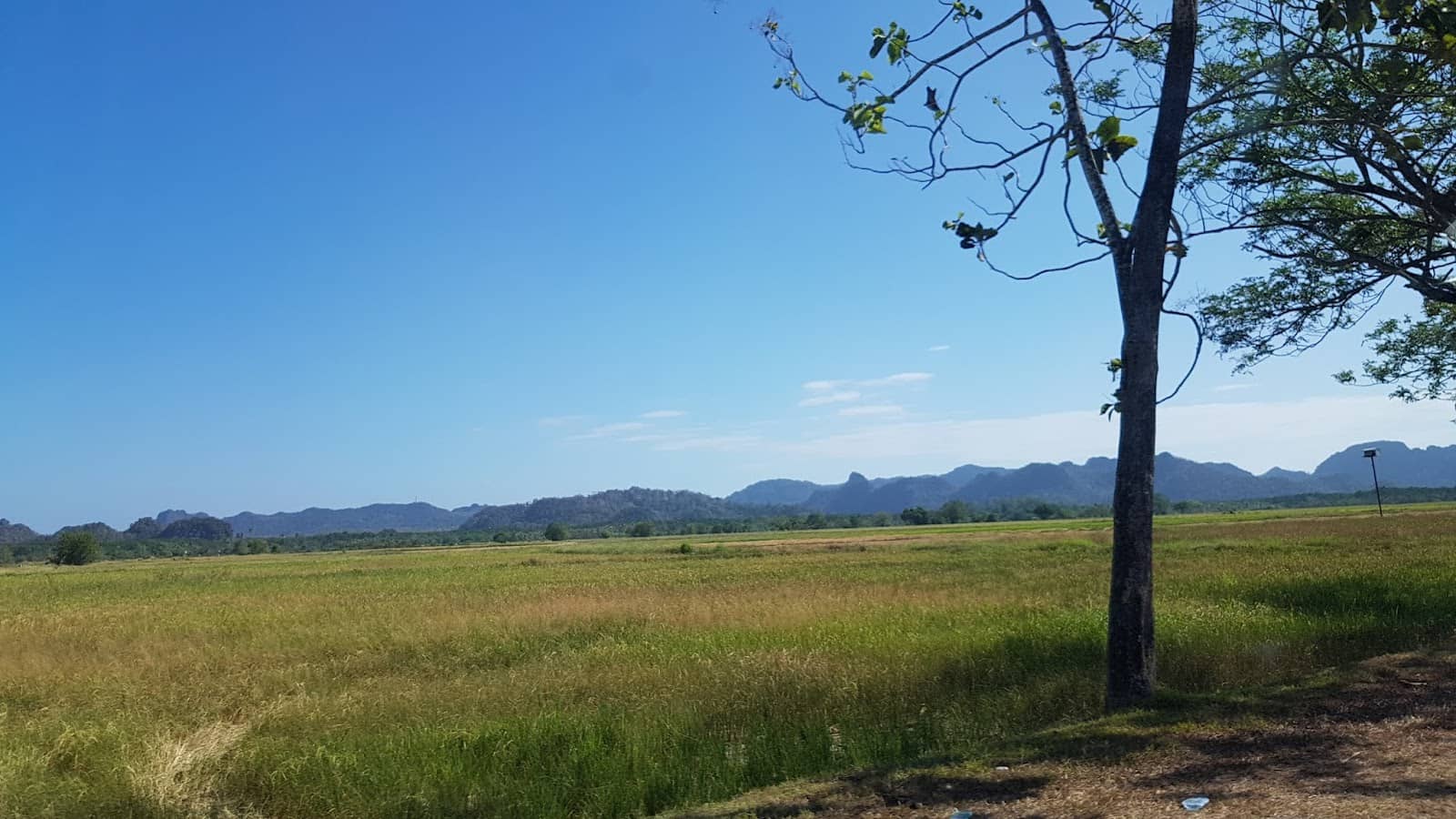 Spa and Wellness Packages