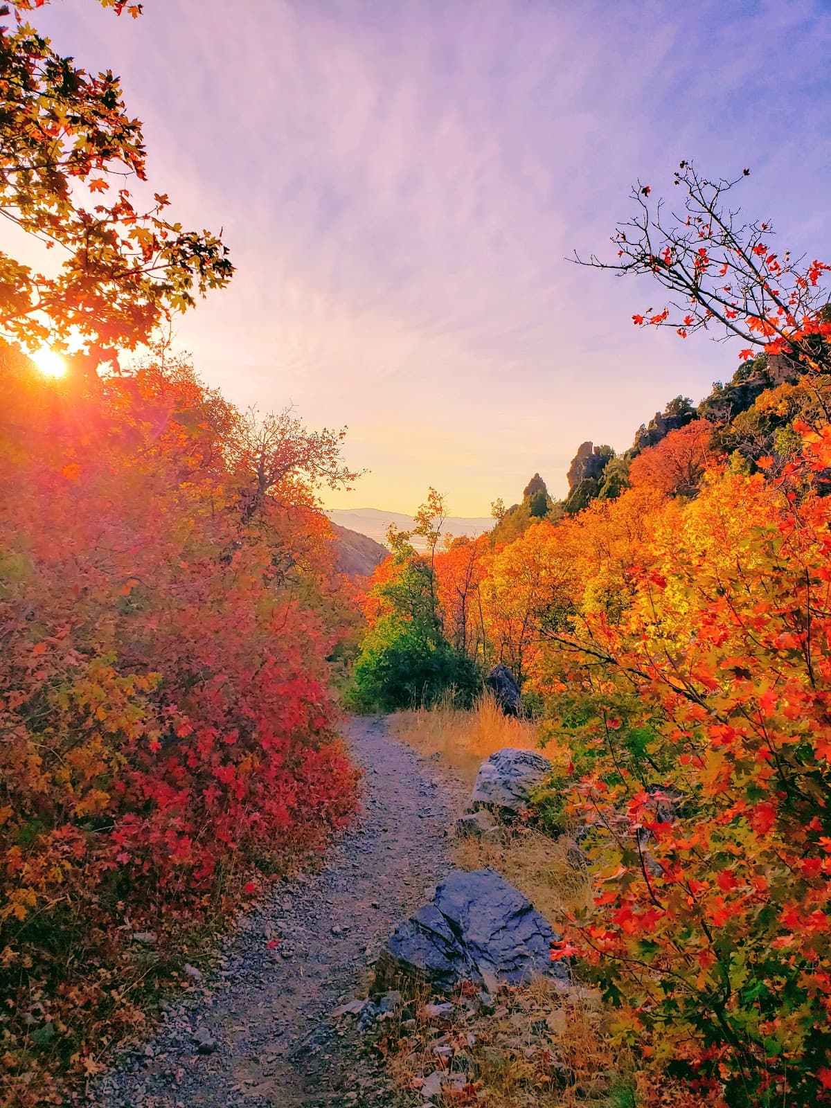 Dry Canyon - Image 1