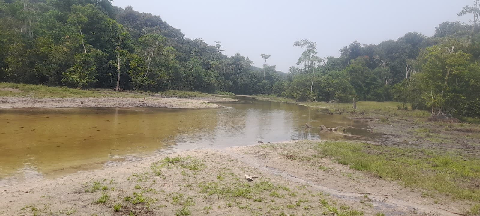 Lodge Conference Room Nouabalé-Ndoki - Image 1