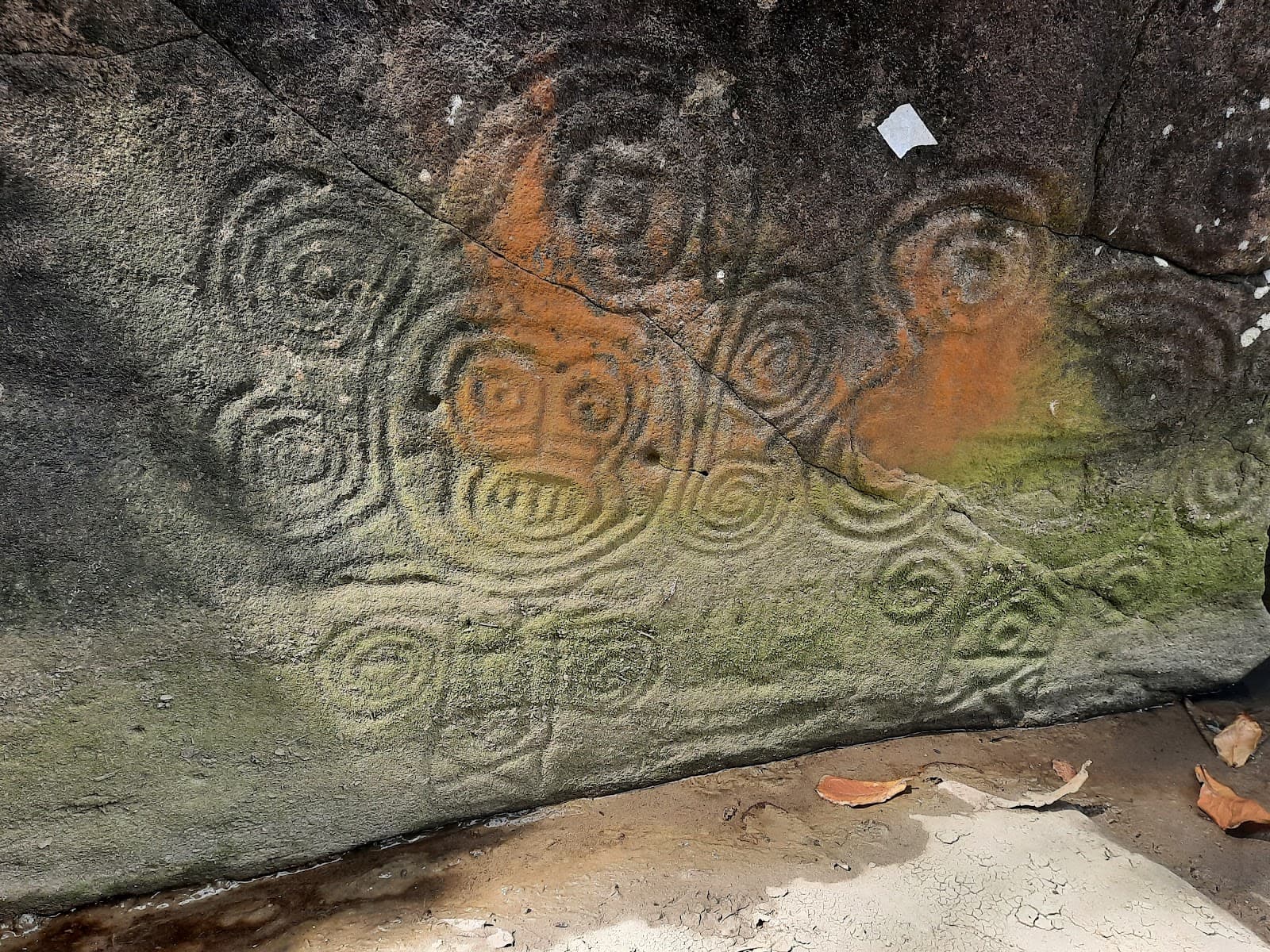 Duquesne Bay Petroglyphs - Image 1