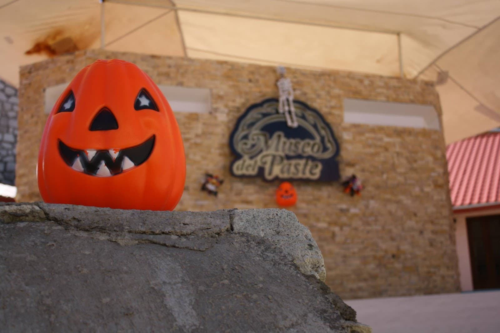 Museo del Paste - Image 1