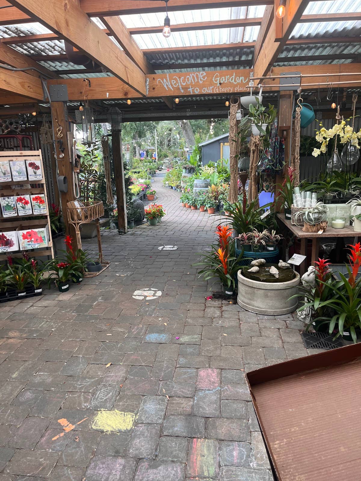 Butterfly-Attracting Plants