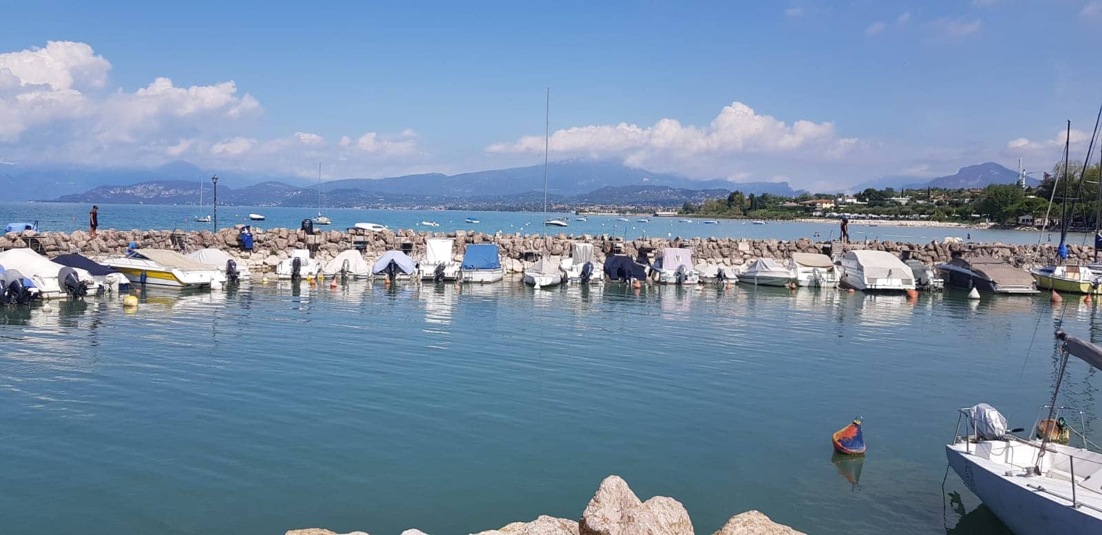 Unique Dining Experience