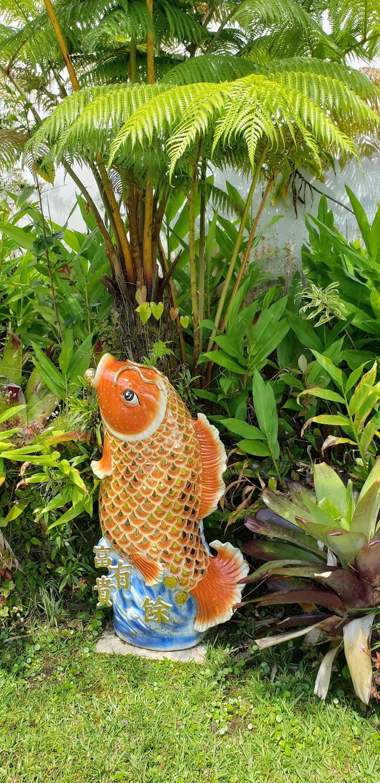 Volcano Village Hawaii - Image 1