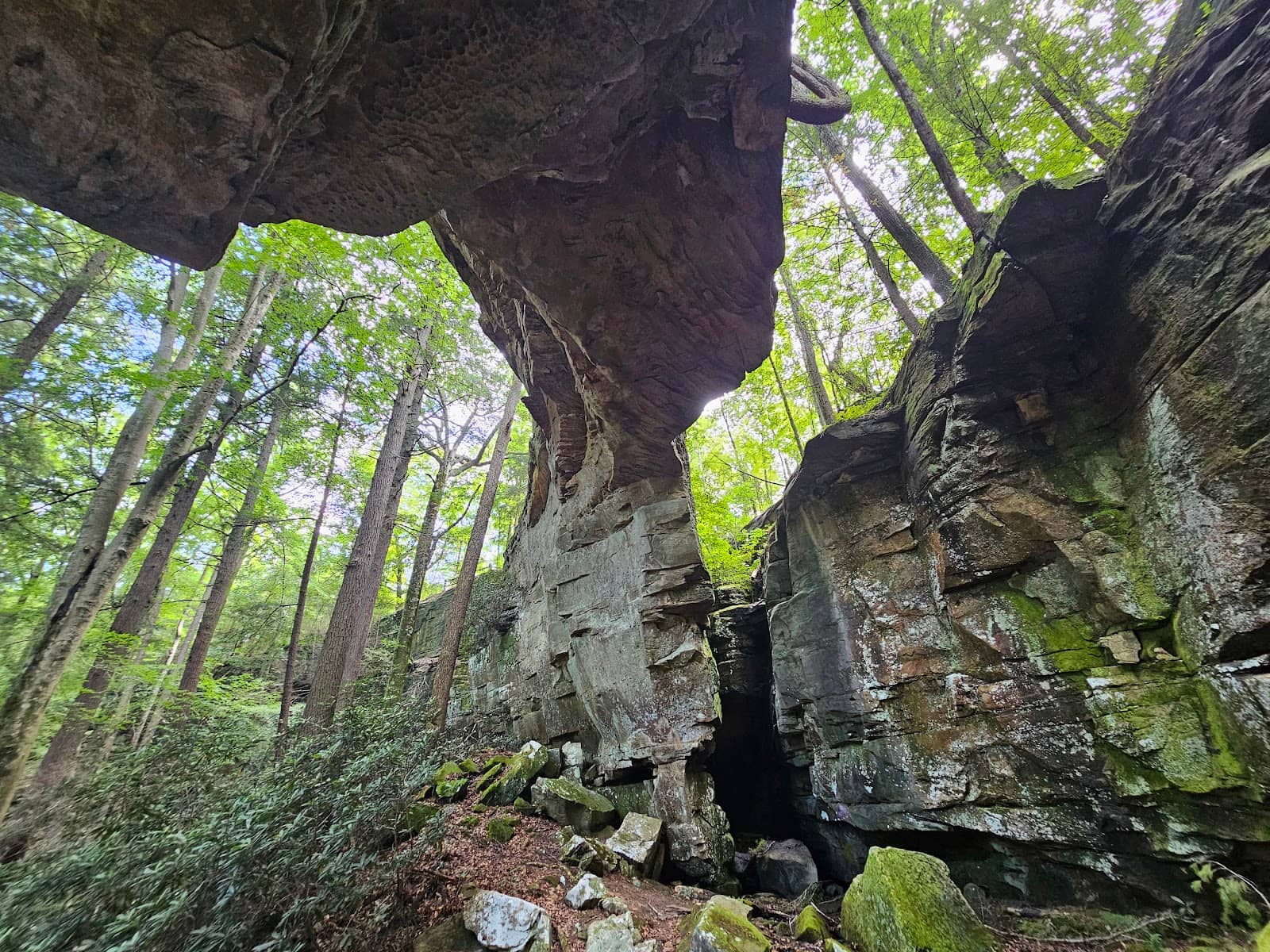 Varied Scenery Trail