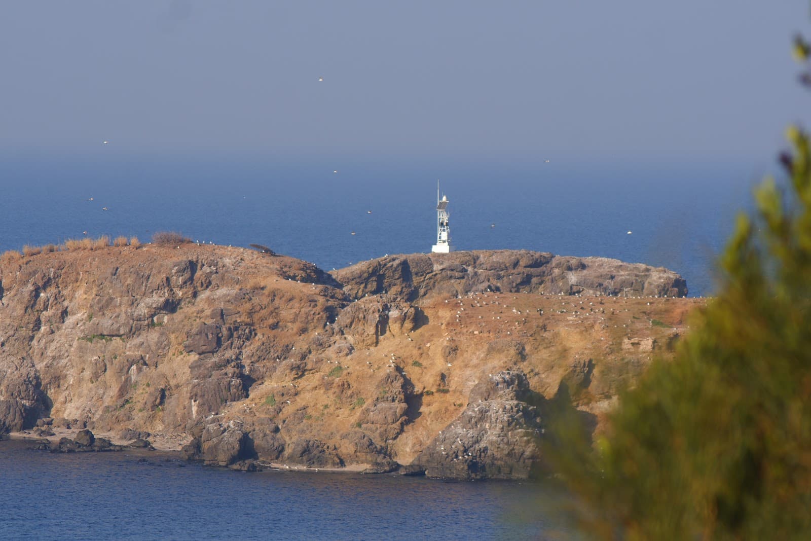 Riva Coast - Image 1