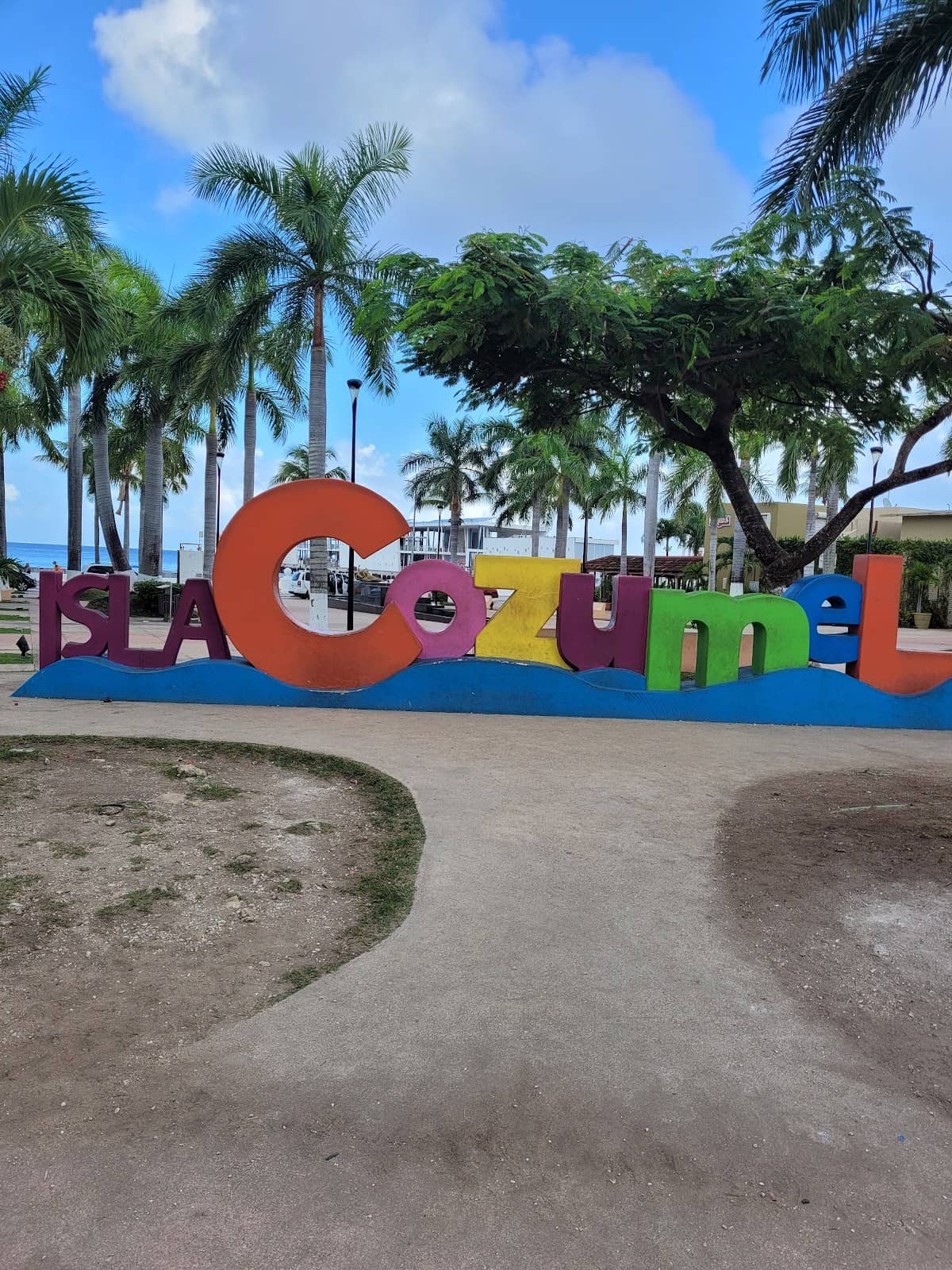 Winjet's Orange Vessels