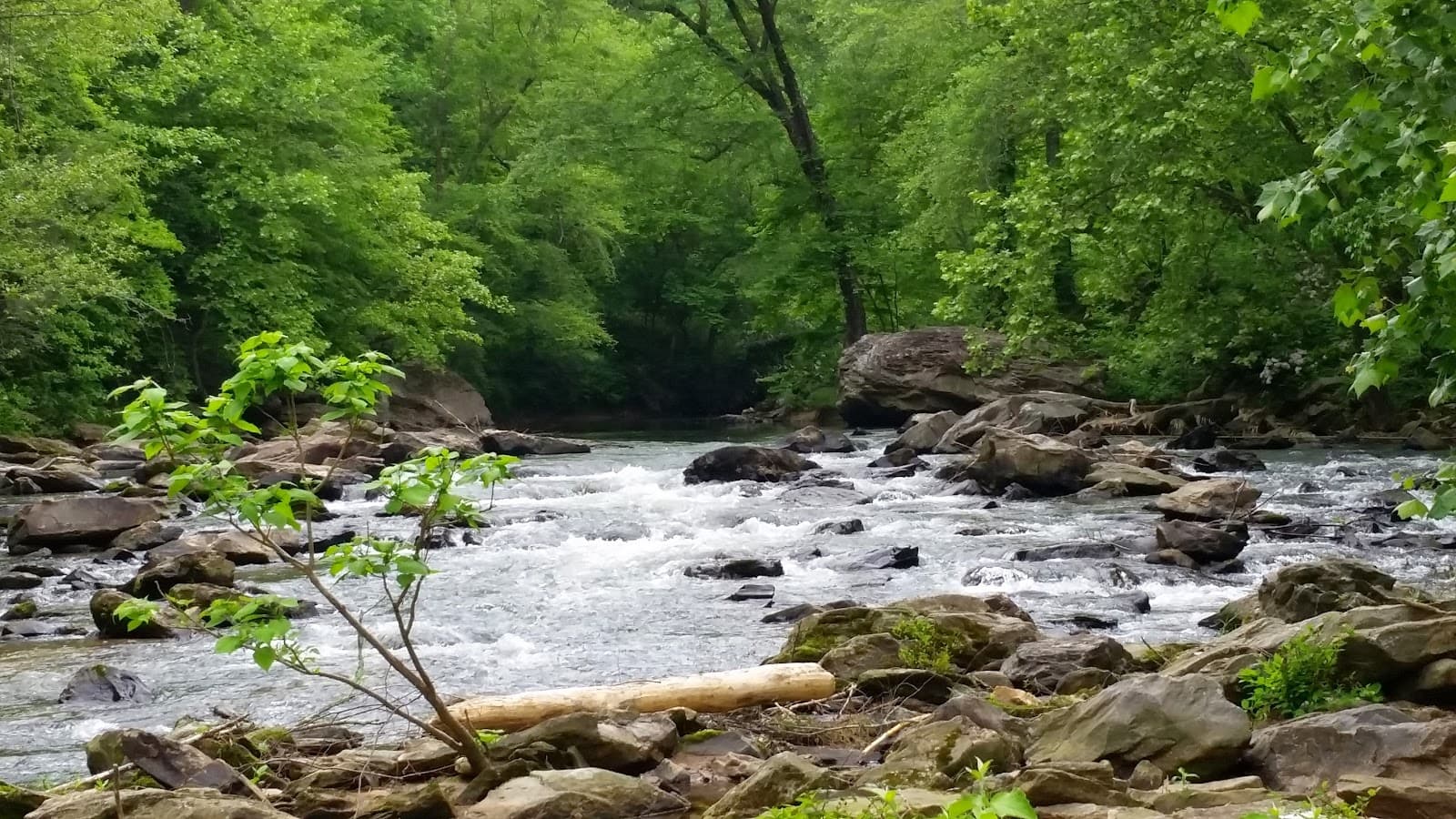 Chestatee River Dahlonega Georgia - Image 1