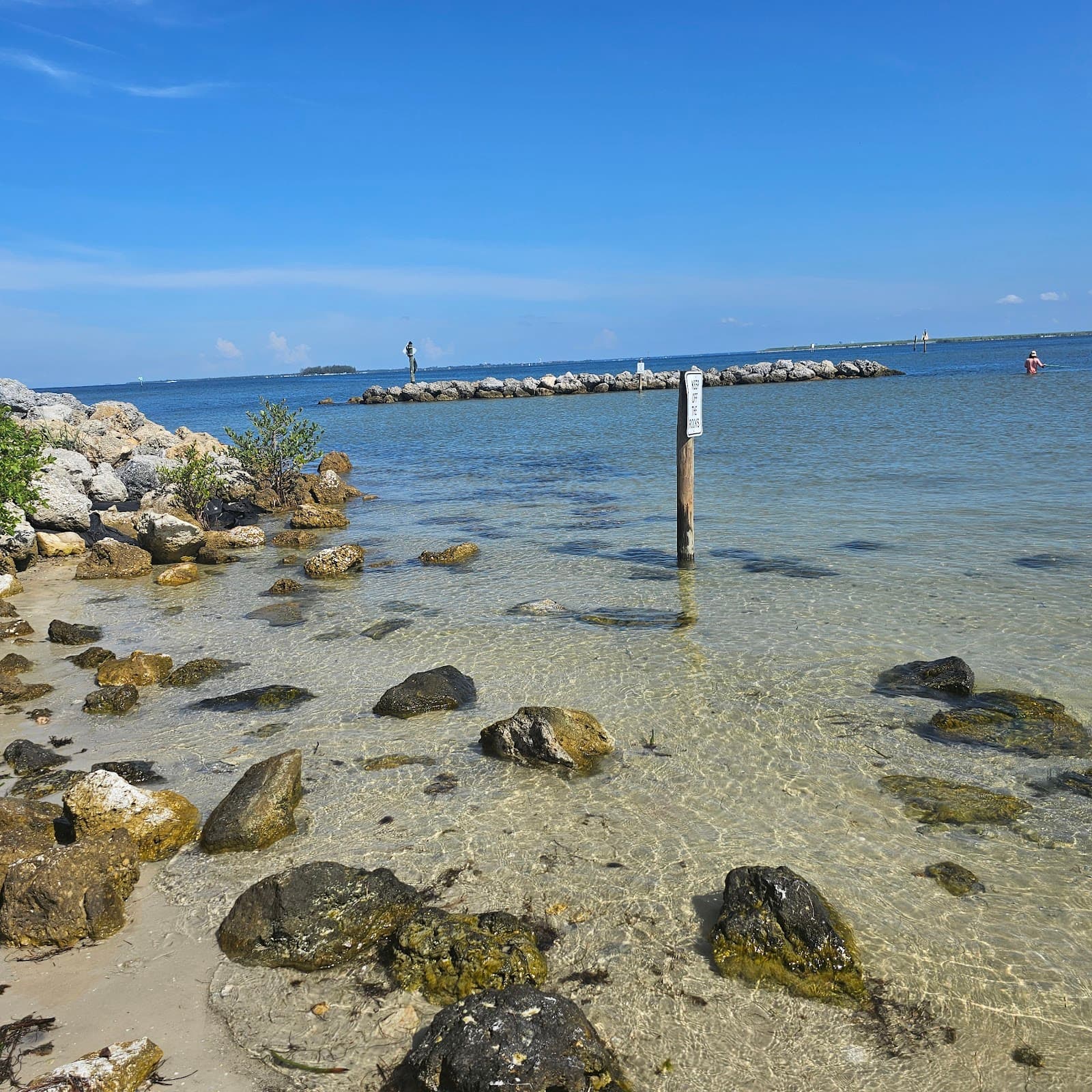 Ybor City Historic District - Image 1