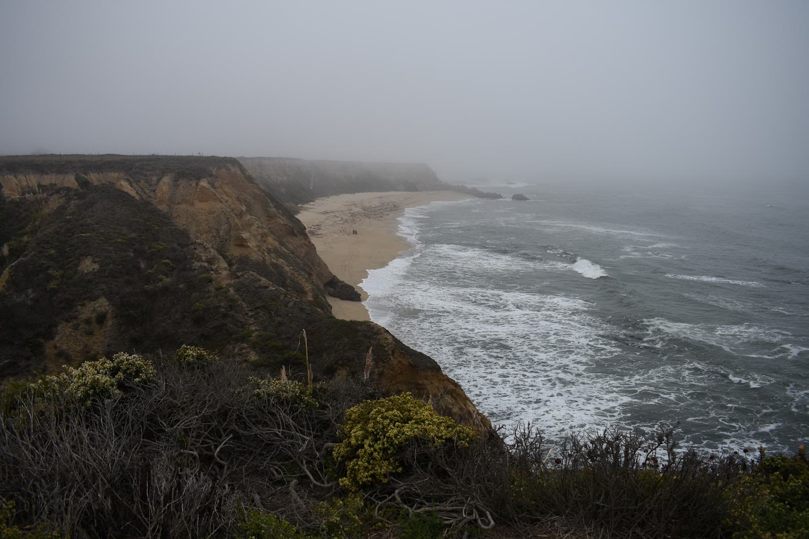 Cowell Ranch Beach - Image 1