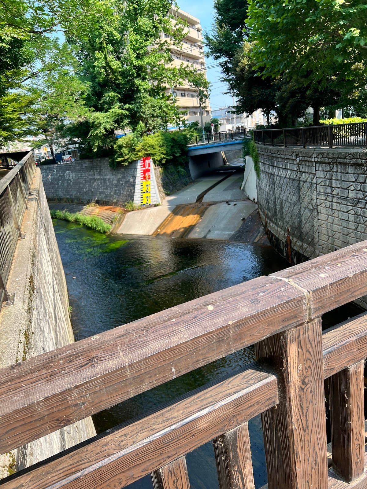 Myoshoji River Green Road - Image 1