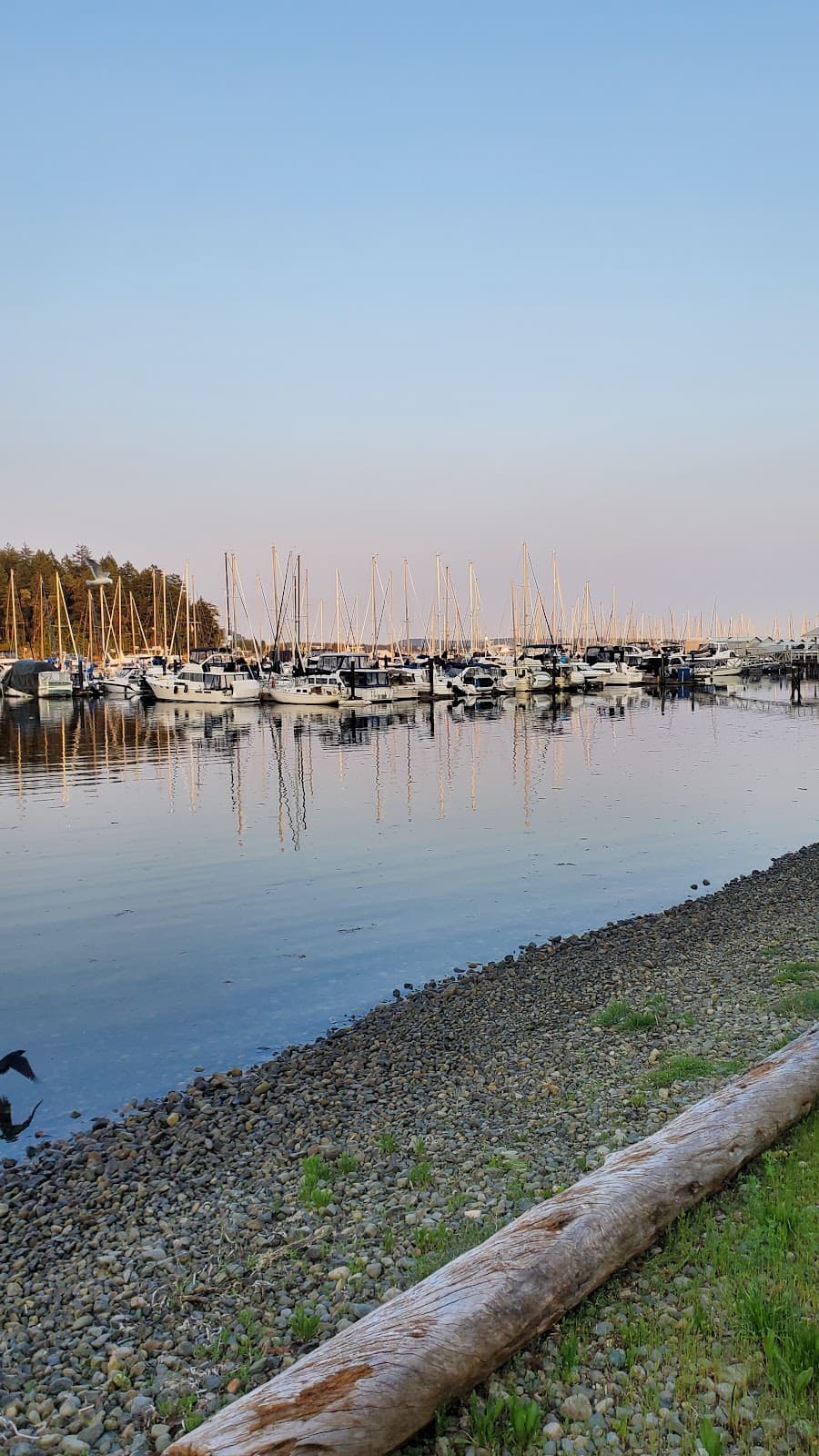 Harbourfront Walkway Seawall - Image 1