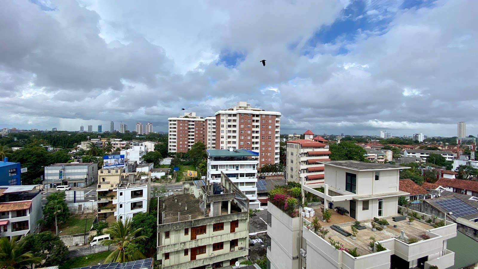 Borella - Image 1