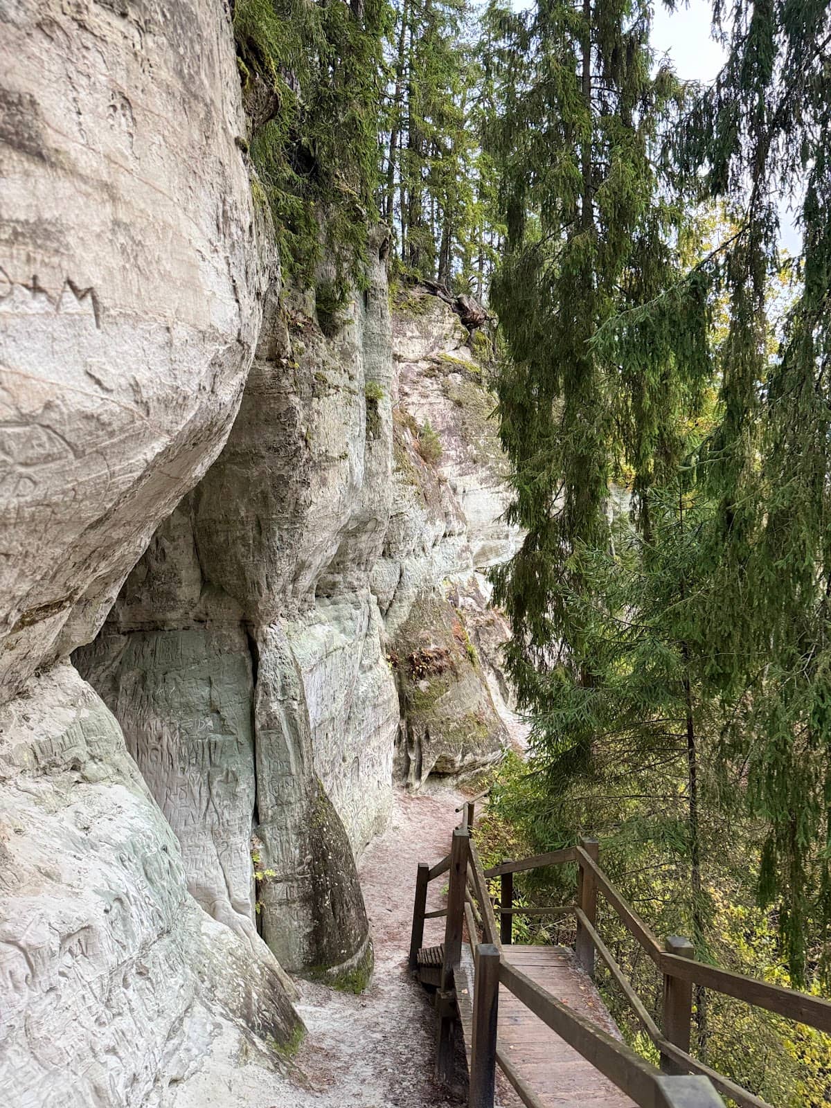 Wooden Walking Paths