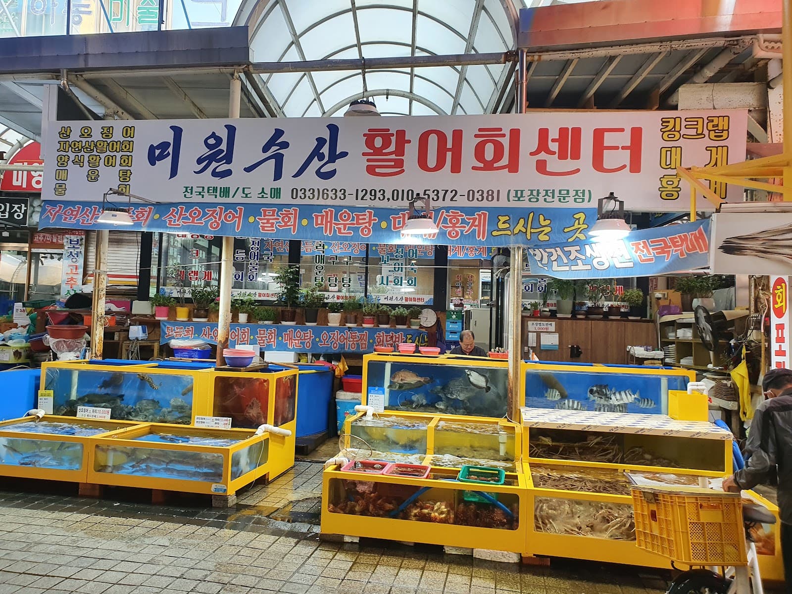 Sokcho Tourist & Fishery Market - Image 1
