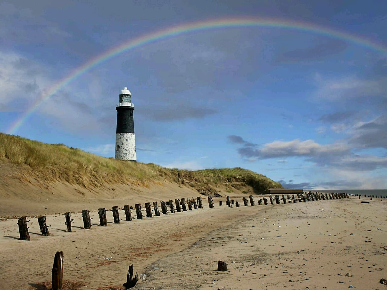 Spurn National Nature Reserve - Image 1