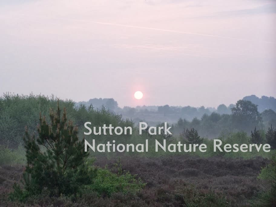 Sutton Park - Image 1