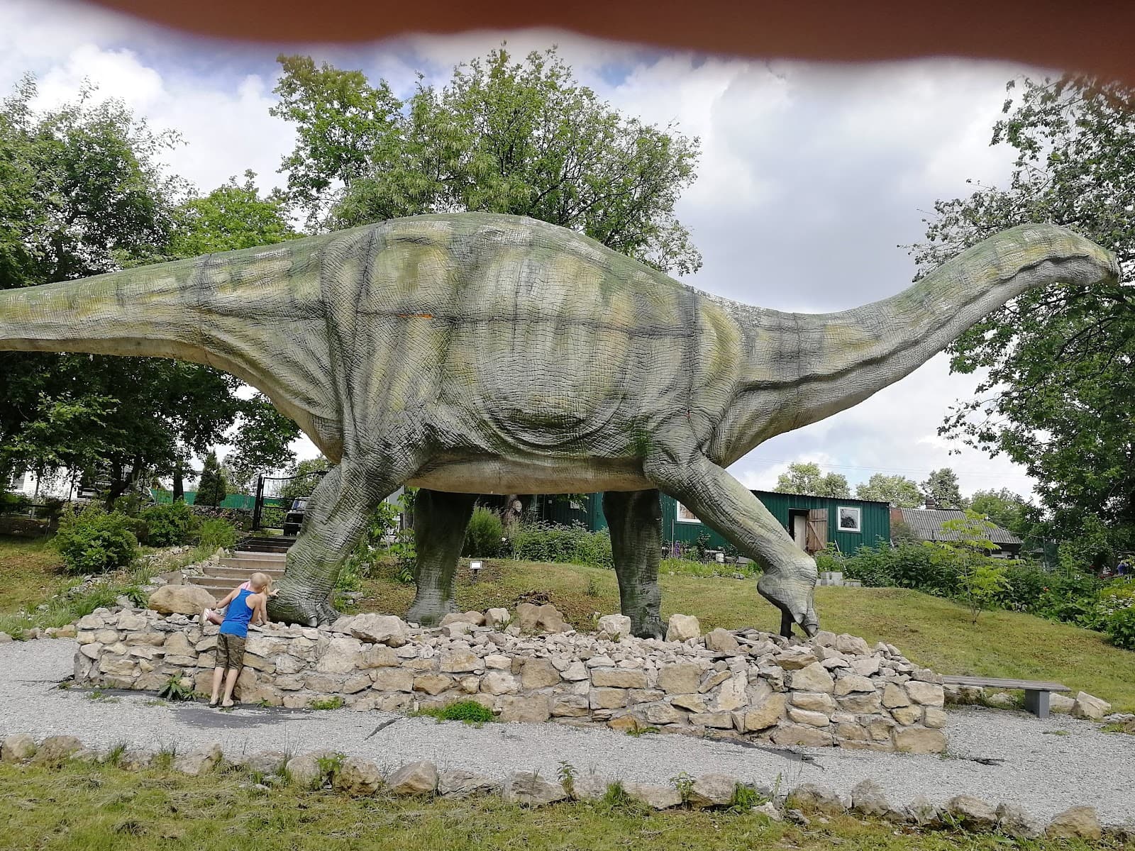 Kotelnich Dinosaur Cliff - Image 1