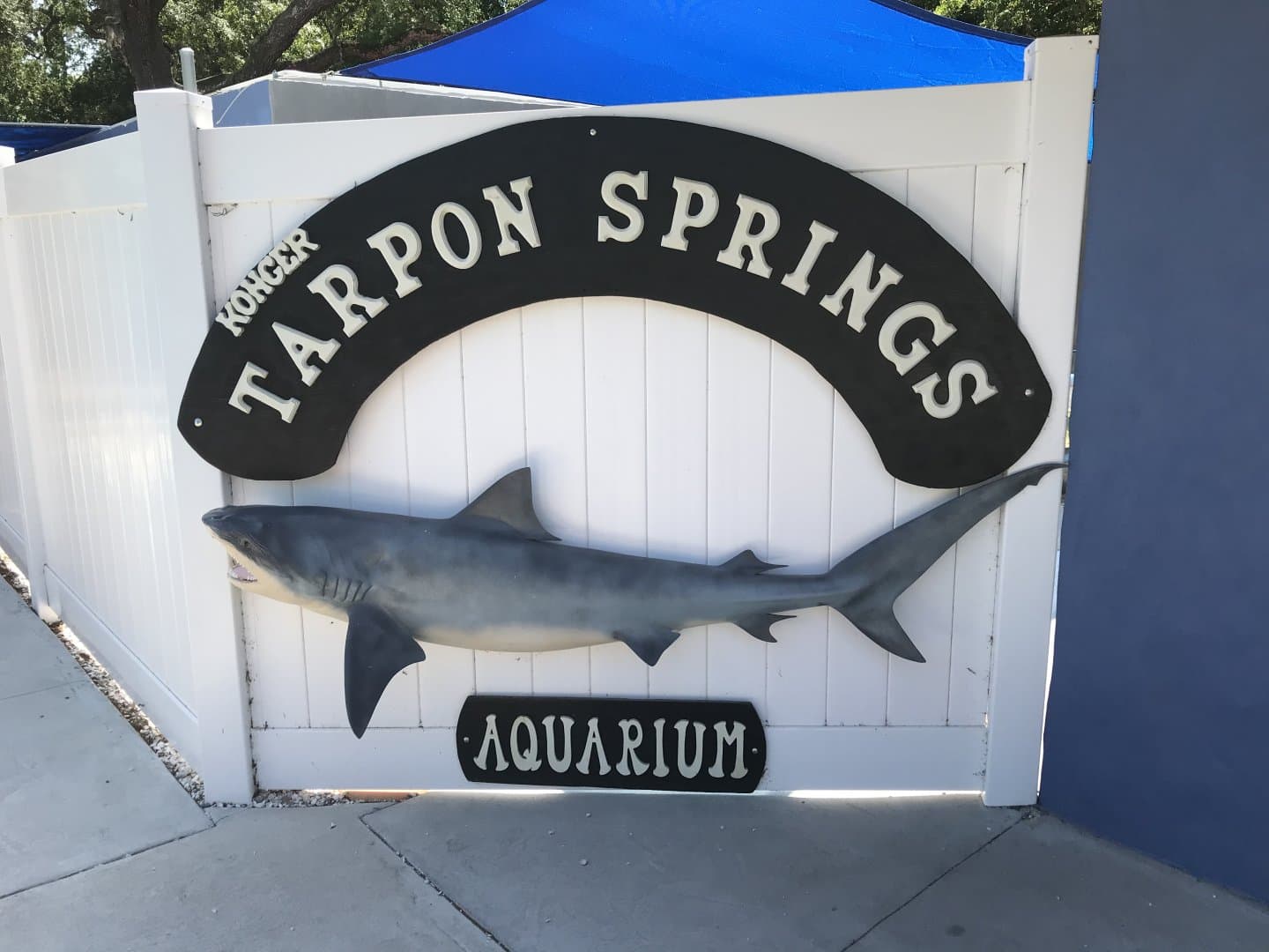 Tarpon Springs Aquarium - Image 1