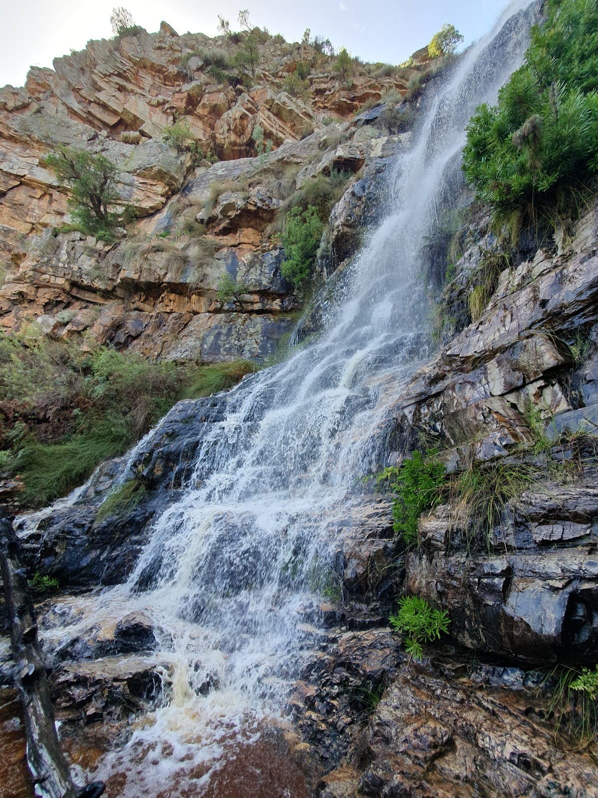Paradyskloof Nature Area - Image 1