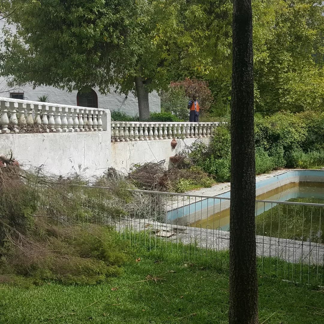 Constantia Cape Town - Image 1