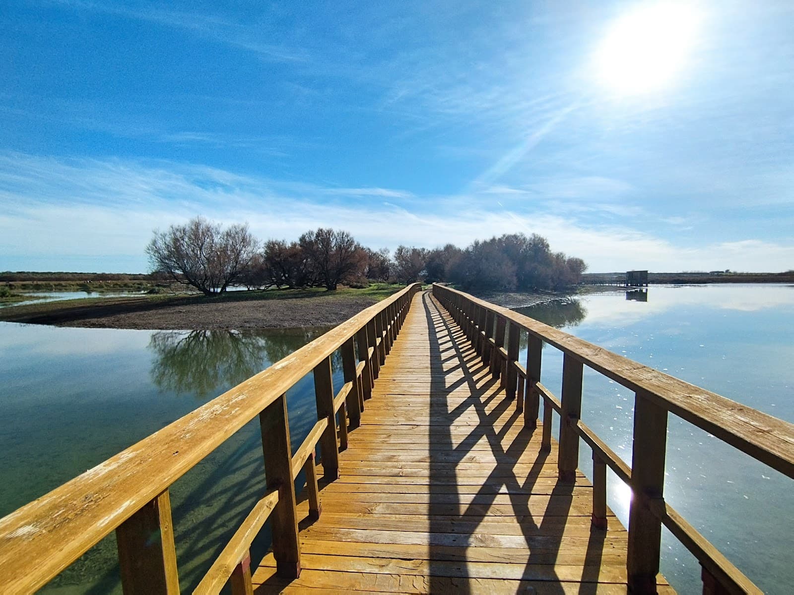 Tablas de Daimiel National Park - Image 1