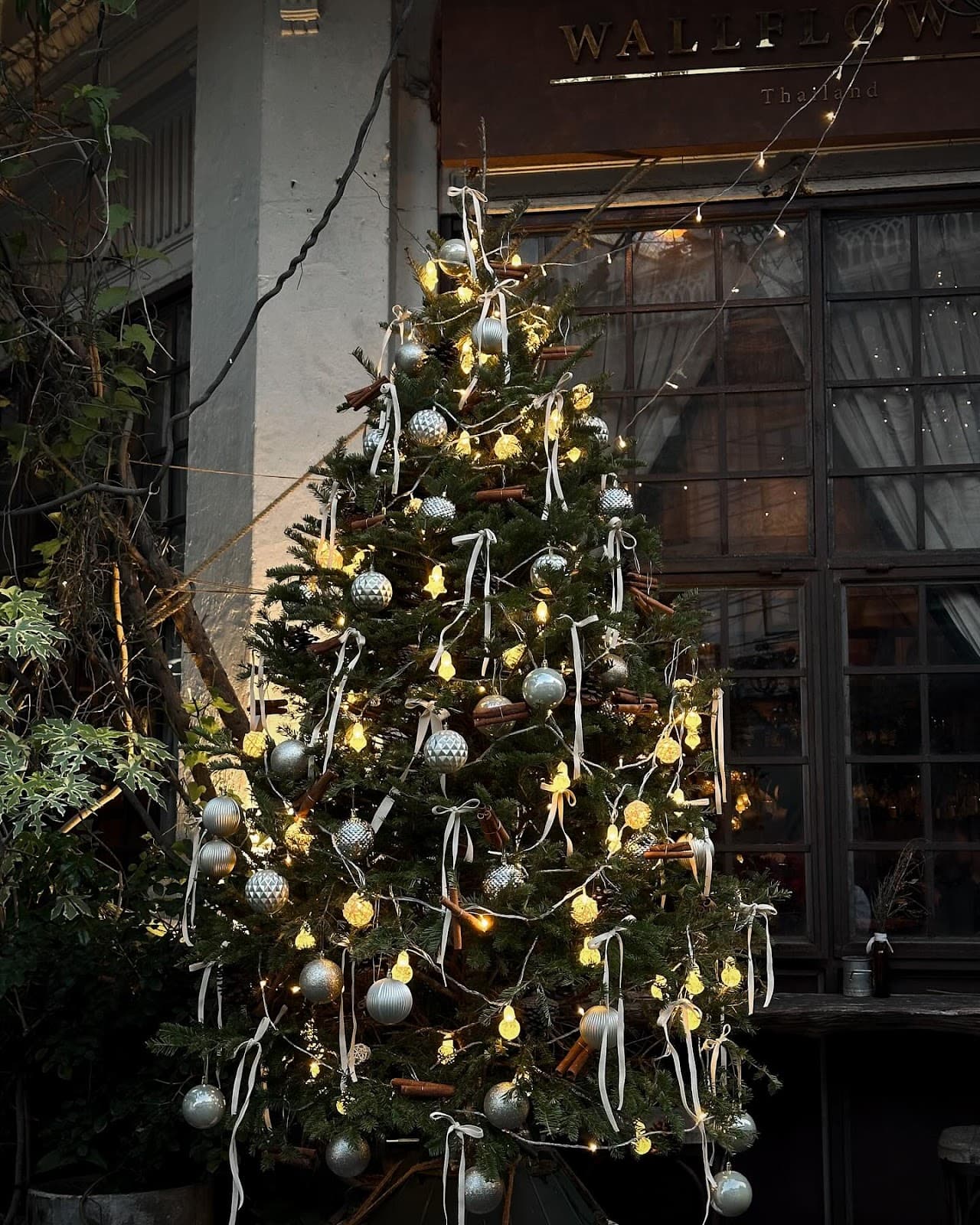 Wallflowers, Chinatown, Bangkok - Image 1