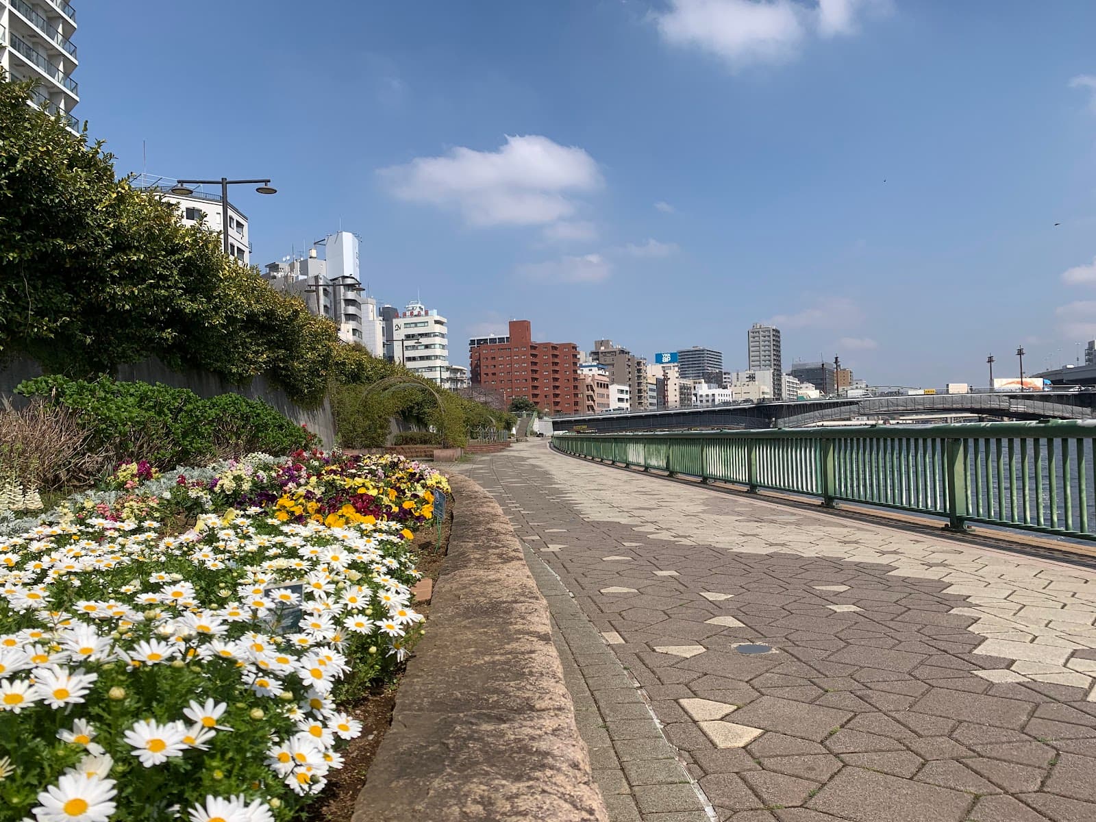 Sumida River Terrace Taito - Image 1