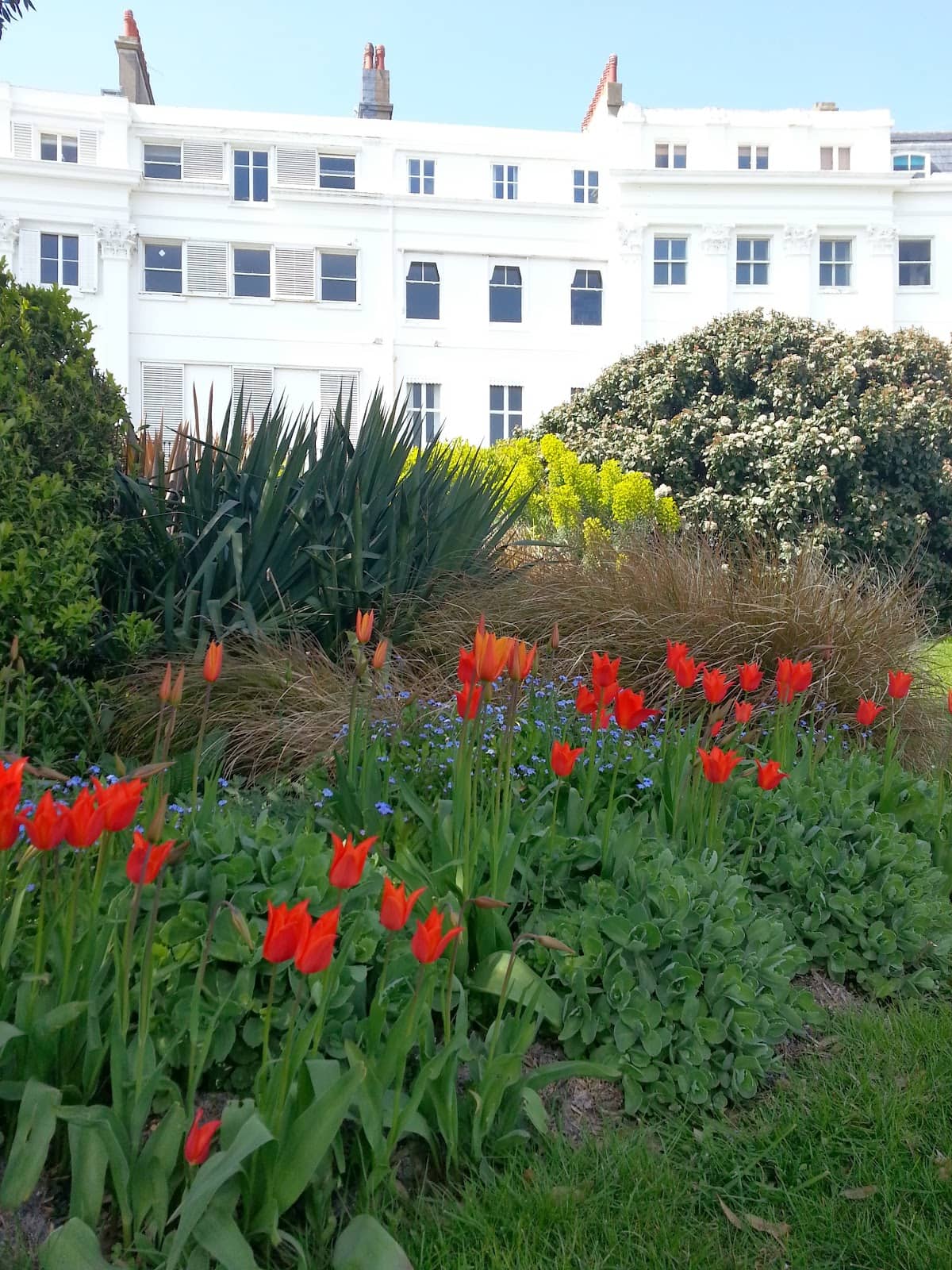 Seafront Proximity