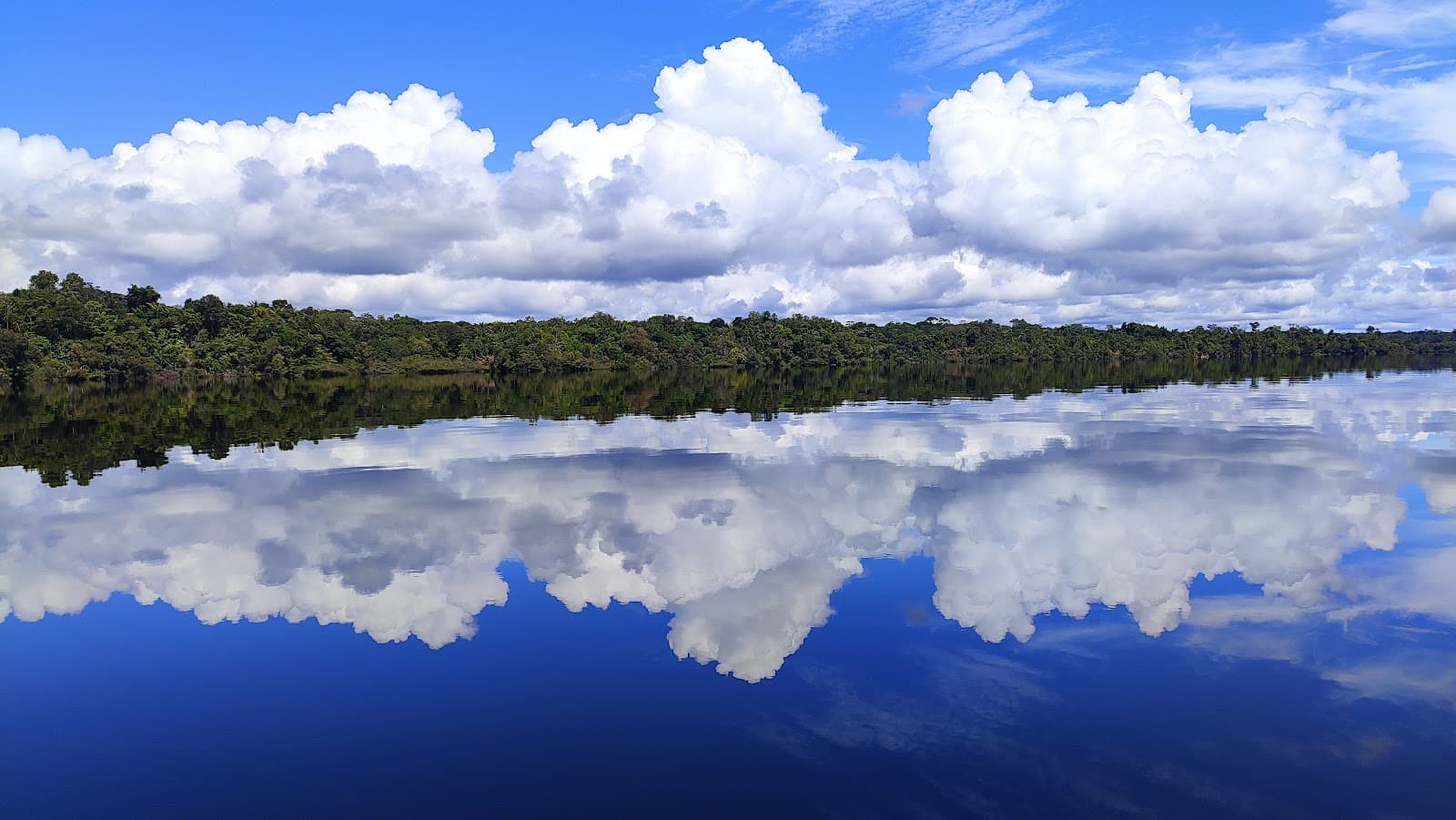 Anavilhanas Archipelago - Image 1