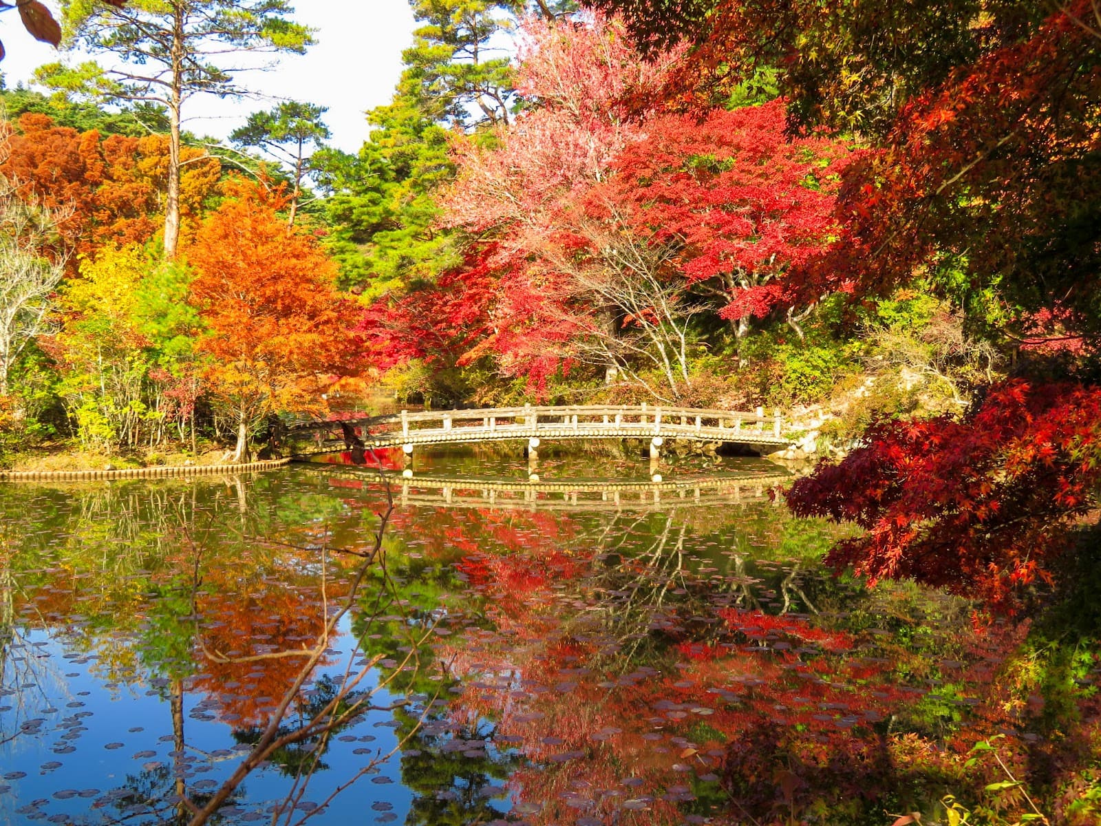 Kobe Municipal Arboretum - Image 1