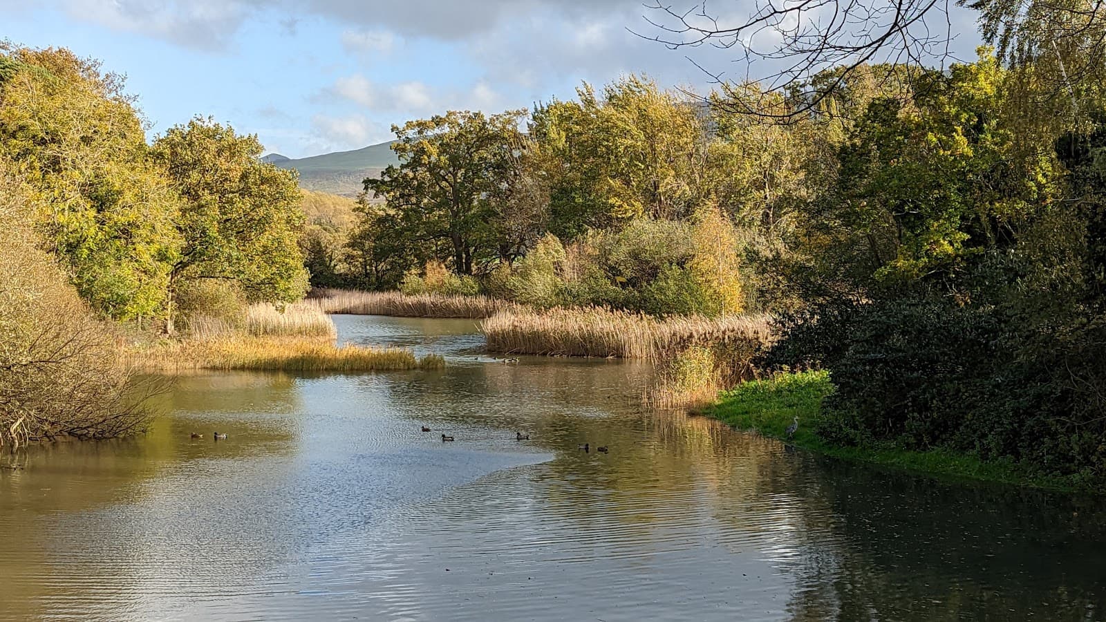 Spinnies Aberogwen Nature Reserve - Image 1
