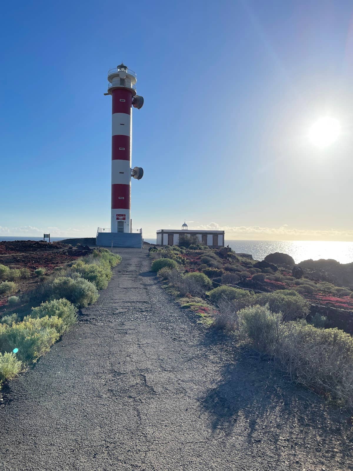 Whale and Dolphin Watching