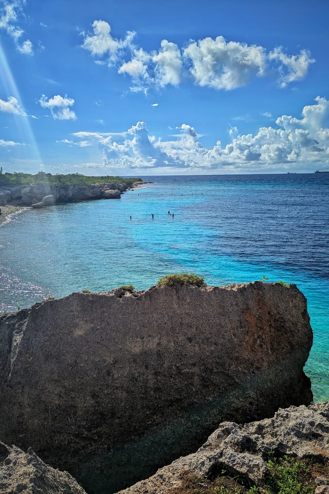 Director's Bay - Image 1