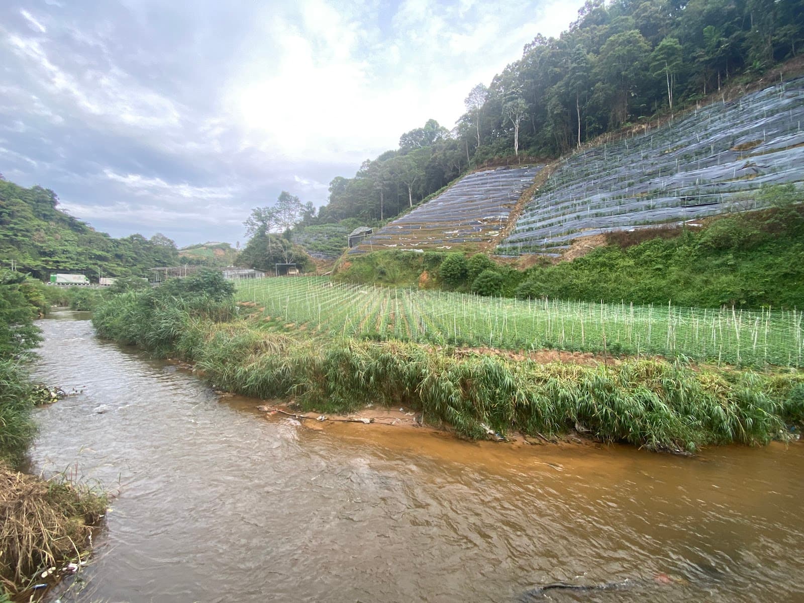 Kuala Terla Cameron Highlands - Image 1