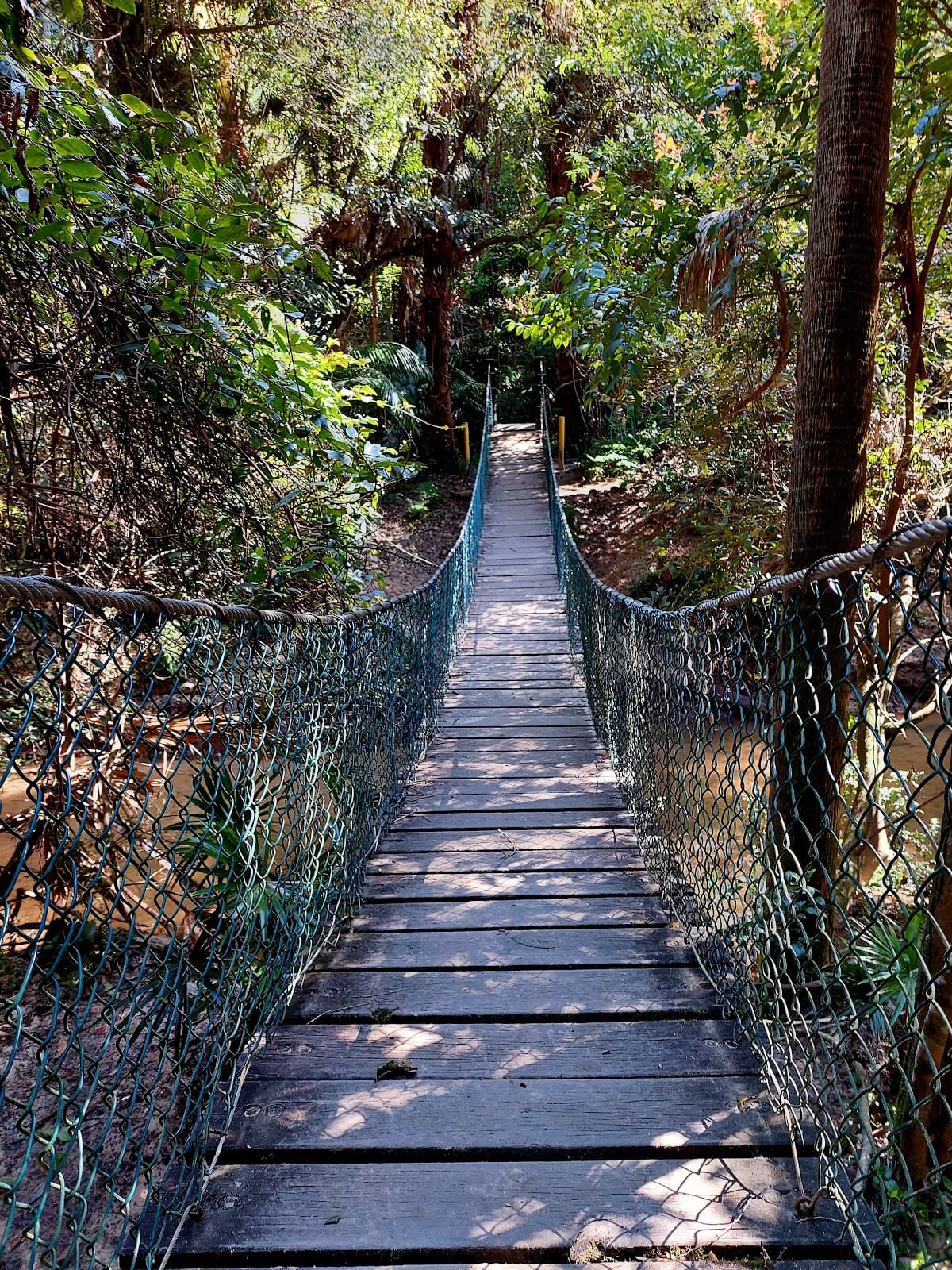 Strickland State Forest - Image 1