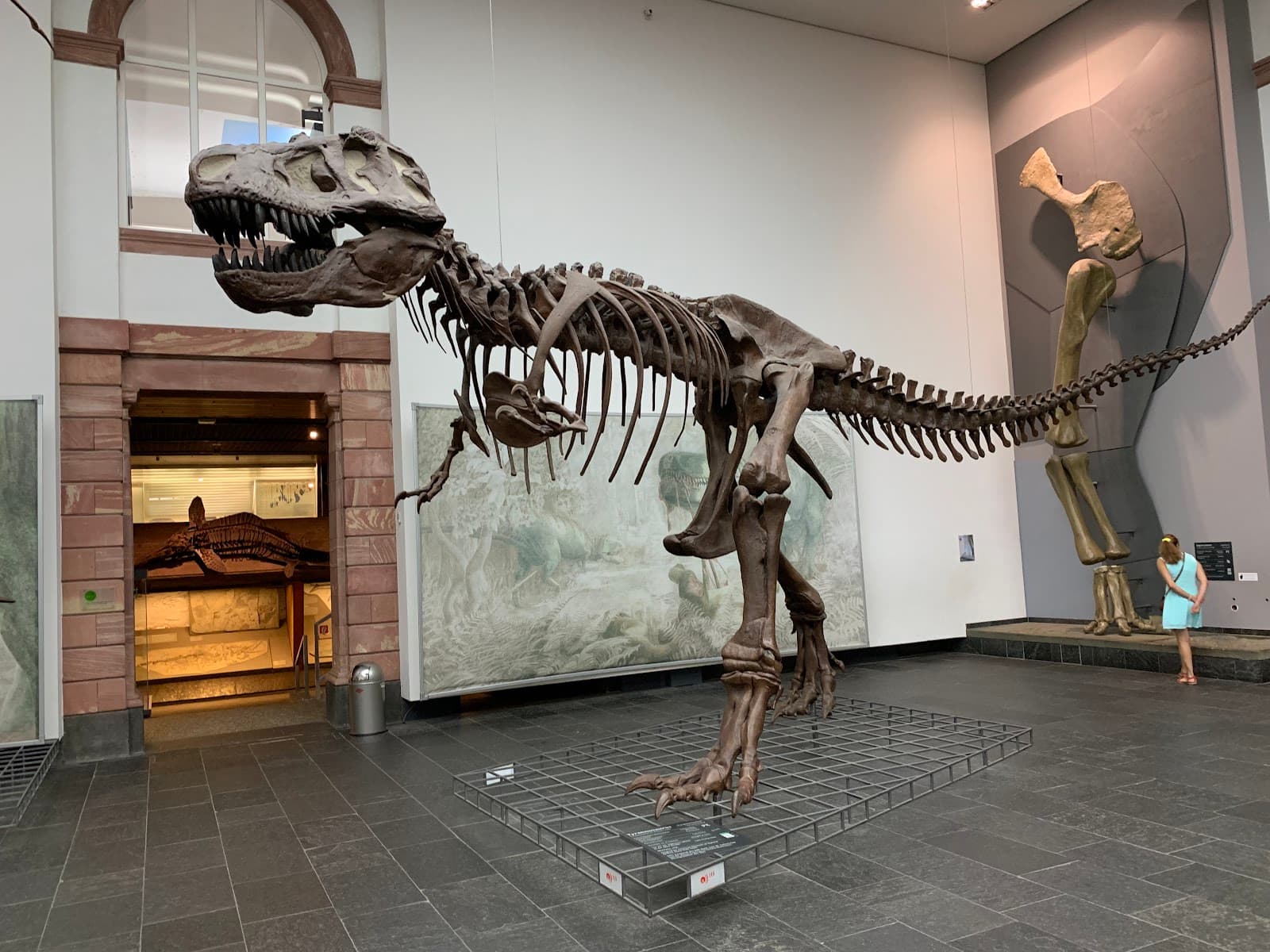 Senckenberg Museum Frankfurt - Image 1