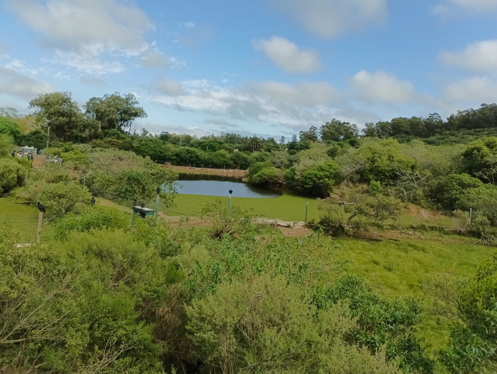 Pan de Azúcar Hill and Wildlife Reserve - Image 1