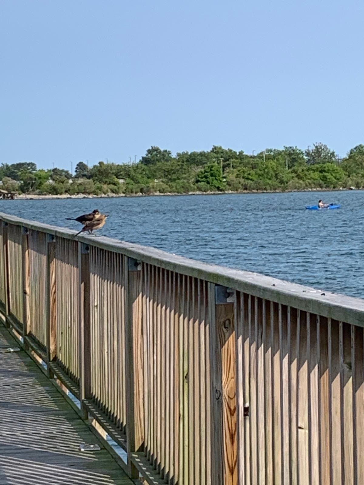 Phoebus Historic District - Image 1