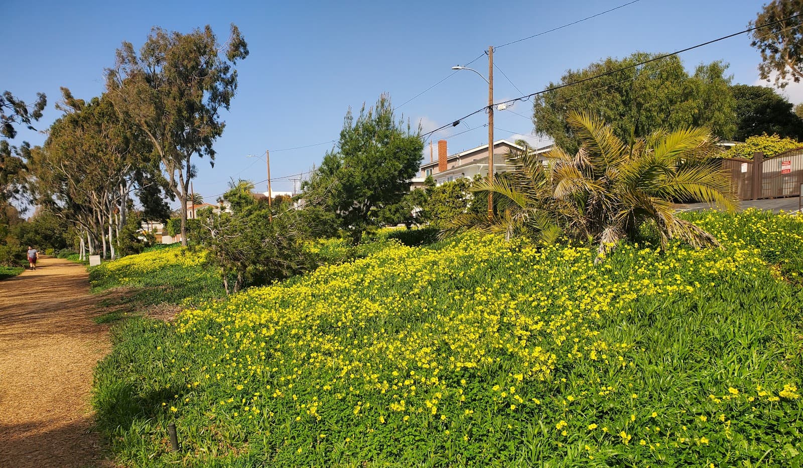 Hermosa Valley Greenbelt (Veterans Parkway) - Image 1