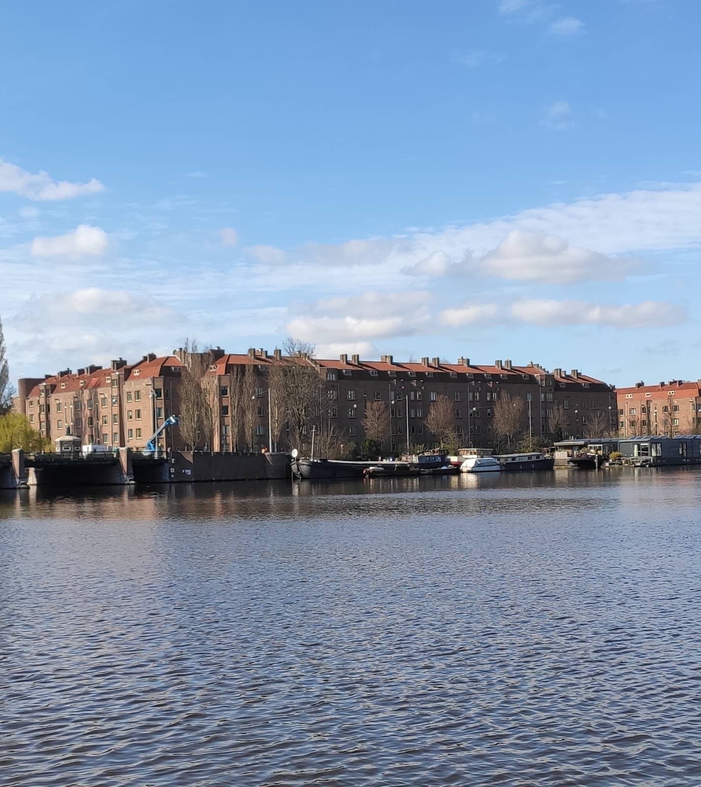 Tranquil Residential Streets
