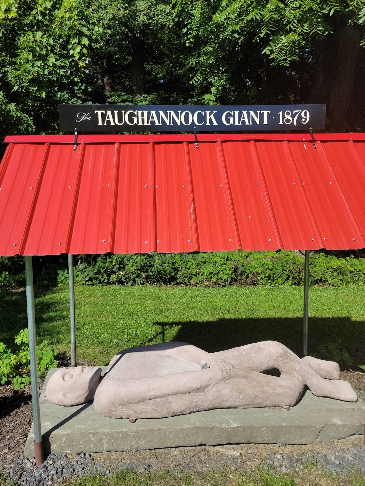 Live Music Performances