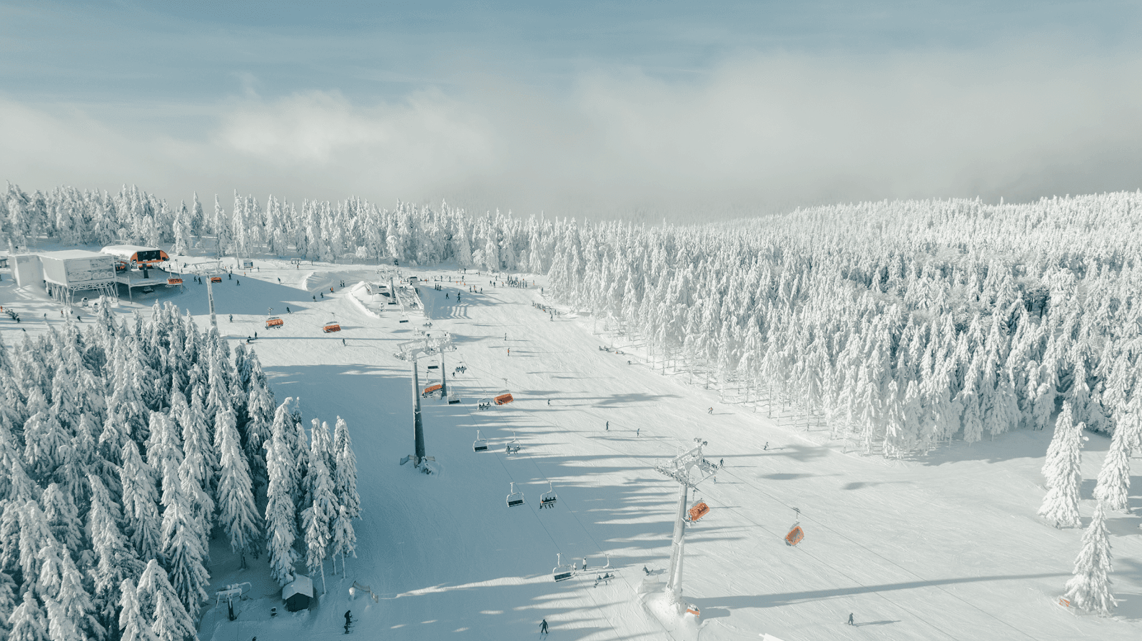 Zieleniec Ski Arena - Image 1