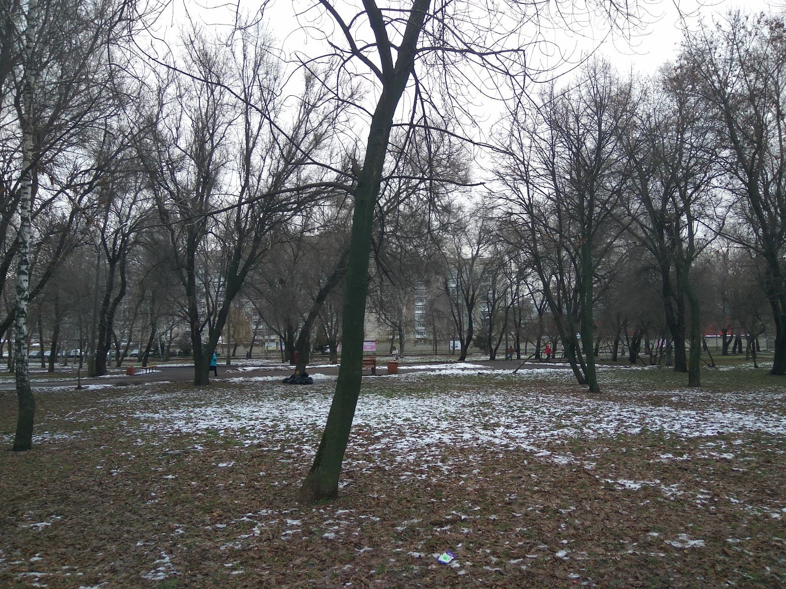 Tambov City Park (Gorodskoy Sad) - Image 1