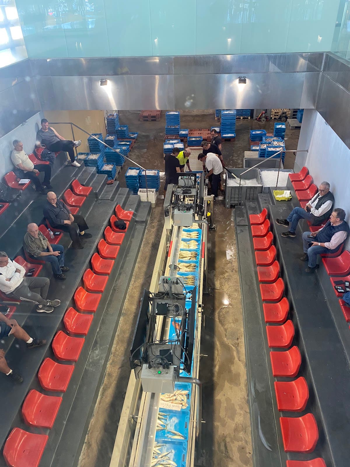 Lonja de Gandia Fish Market - Image 1