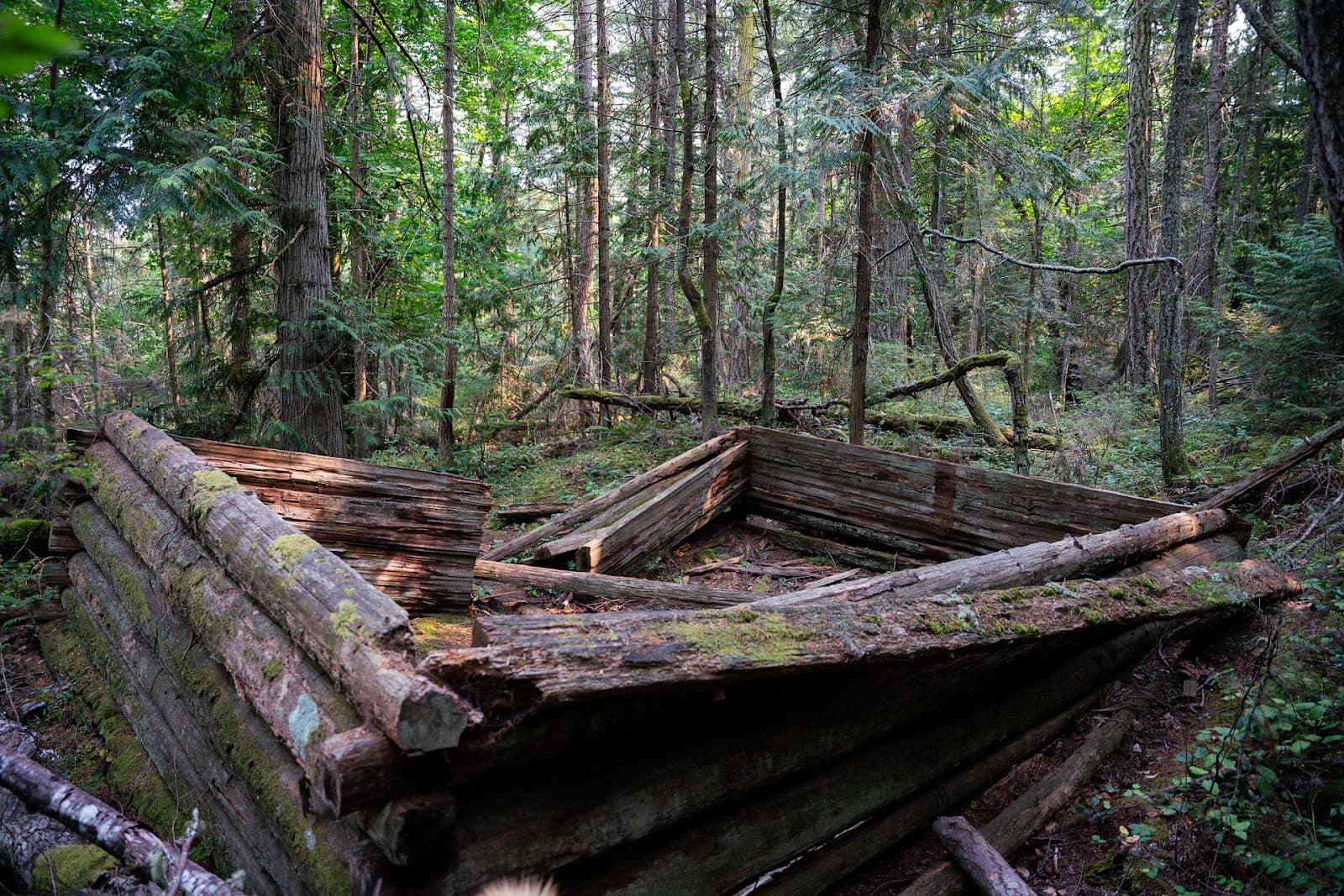 John Tursi Trail - Image 1